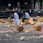 Baserritar Eguna Irun4