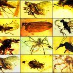 Museo cienciasnaturales2