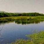 GaleriaNaturaleza Plaiaundiko Parke Ekologikoa