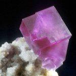 Museo cienciasnaturales