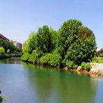 Isla de los Faisanes 03